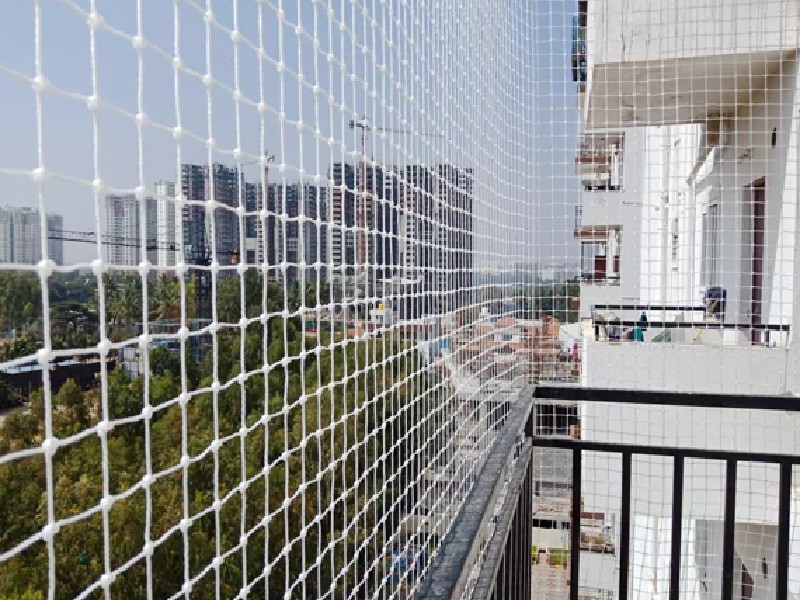 Bird Net Installation